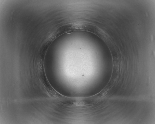 X0000064720603200602101126