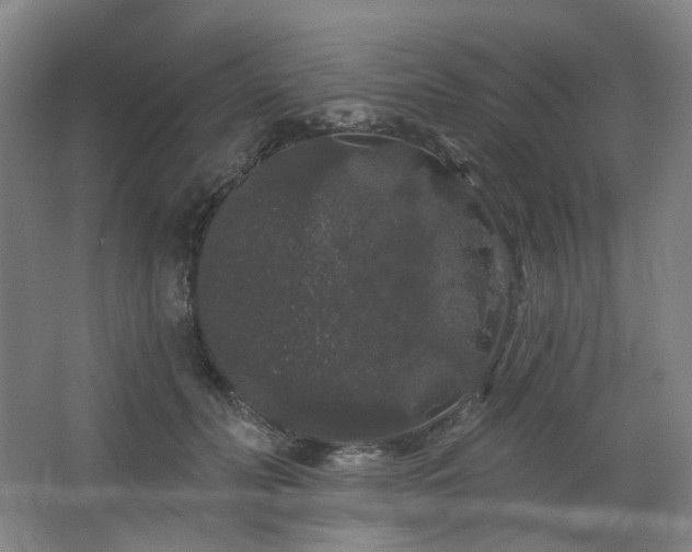 X0000064720606200602101126