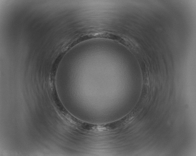 X0000064720607200602101126