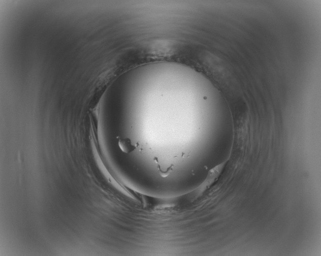 X0000064720608200602101126