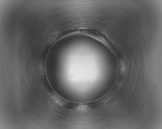 X0000064720609200602101126