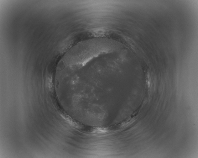 X0000064720610200602101126