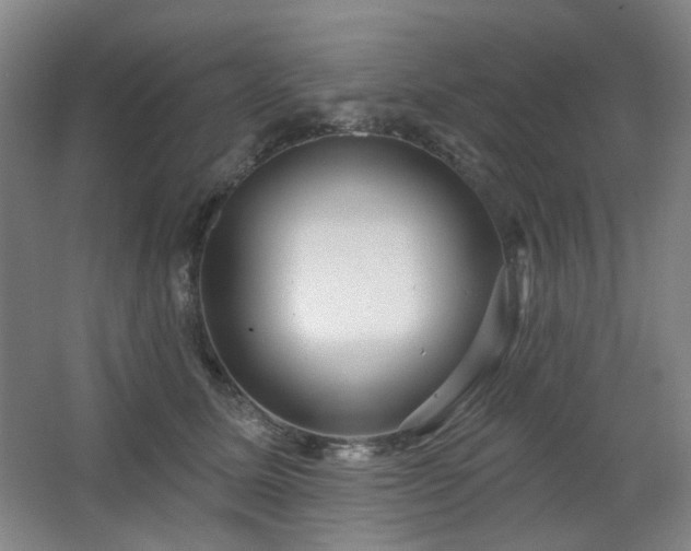 X0000064720611200602101126