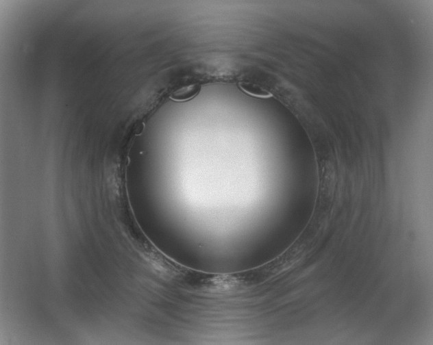 X0000064720612200602101126