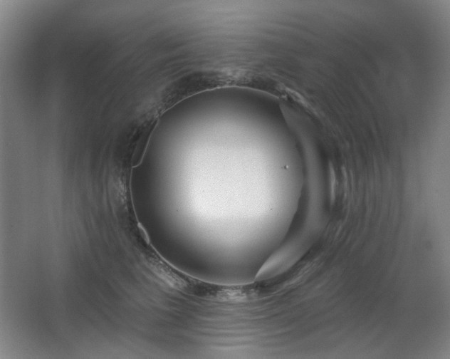 X0000064720613200602101125