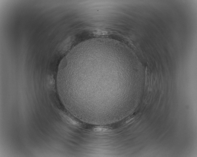 X0000064720614200602101125