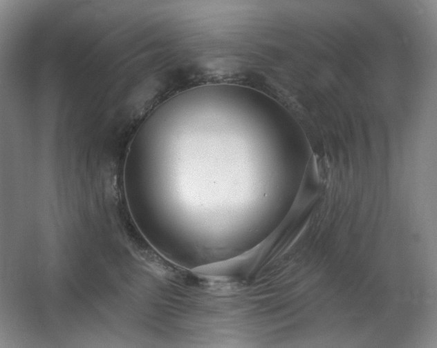 X0000064720615200602101125