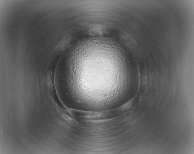 X0000064720616200602101125