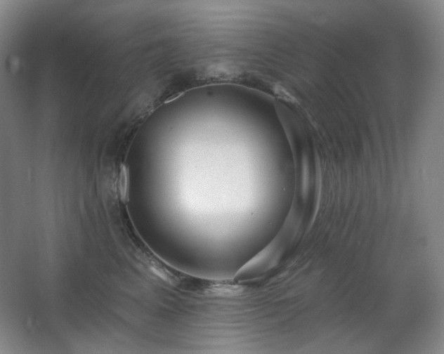 X0000064720617200602101125