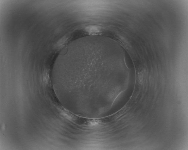 X0000064720618200602101125