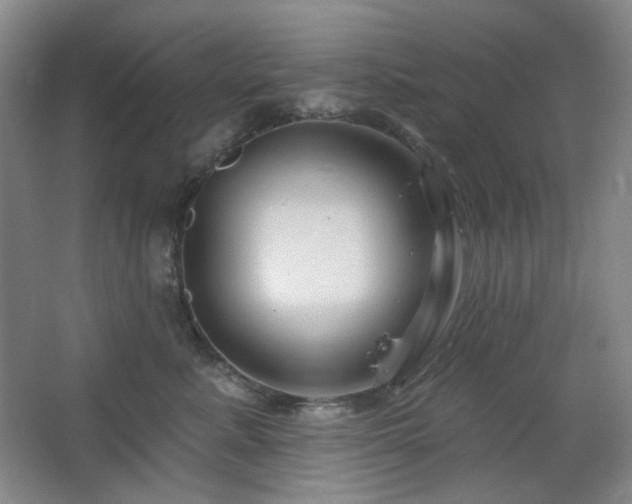 X0000064720619200602101125