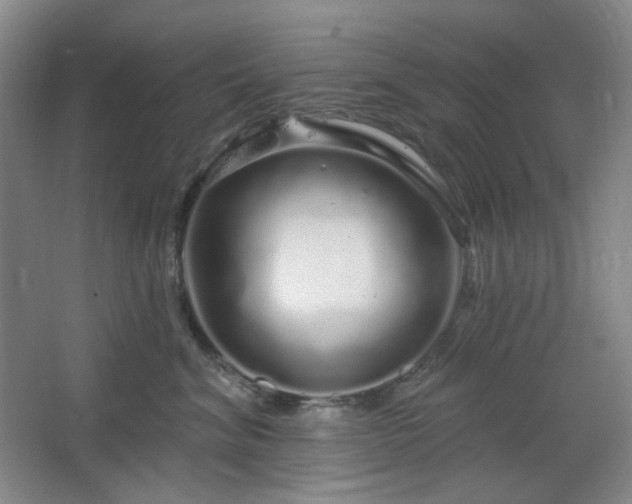 X0000064720620200602101125