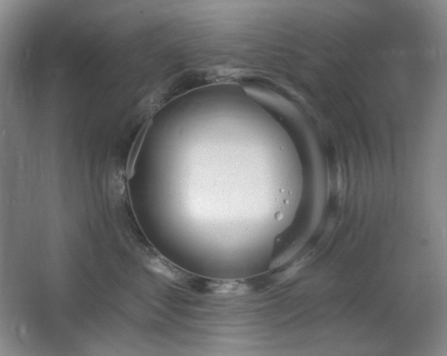 X0000064720621200602101125