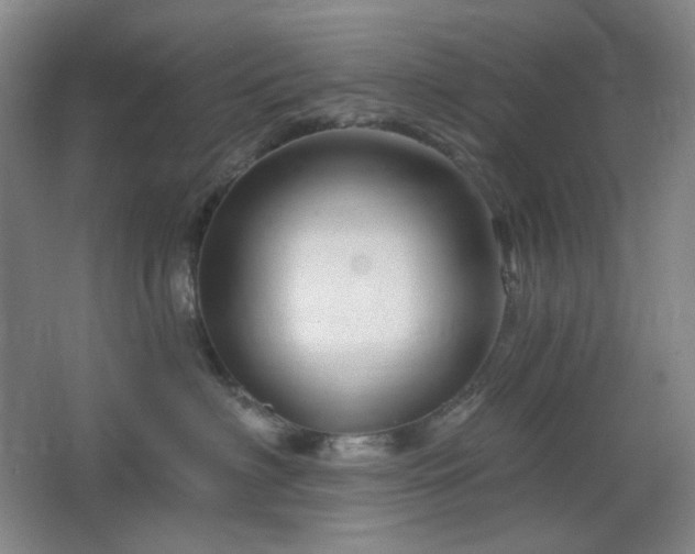 X0000064720622200602101125