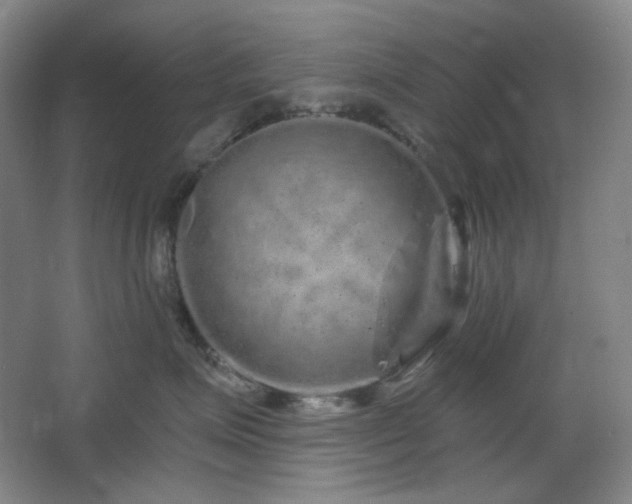 X0000064720623200602101125