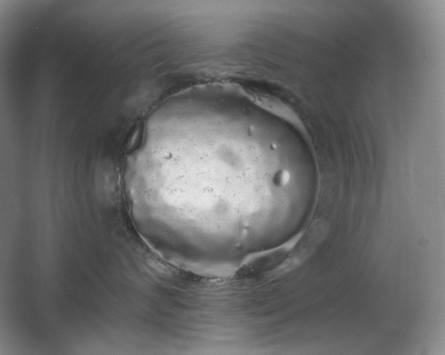 X0000064720624200602101125