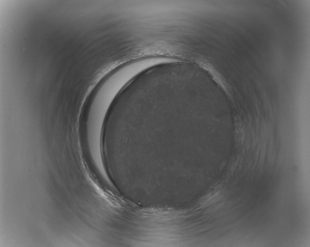 X0000064720626200602101125