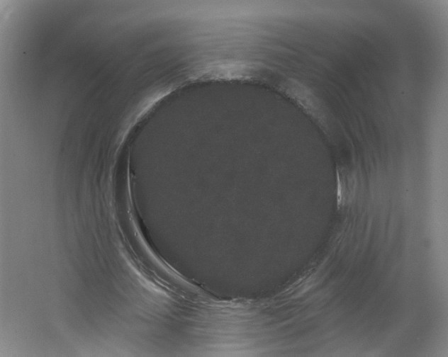 X0000064720627200602101125