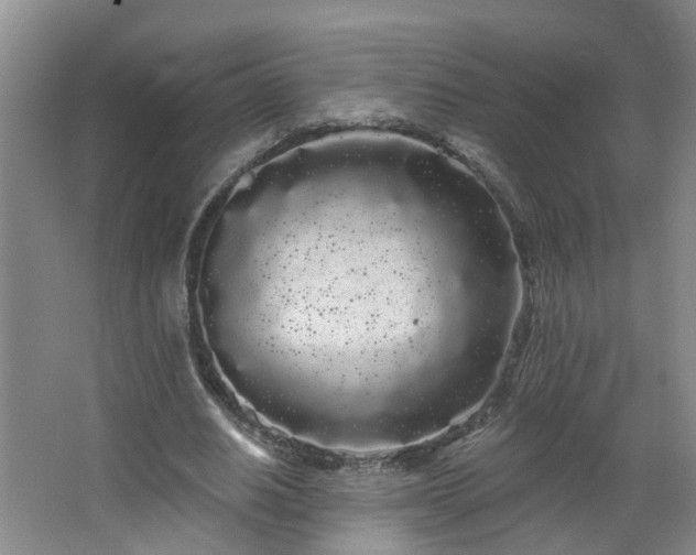 X0000064720630200602101125