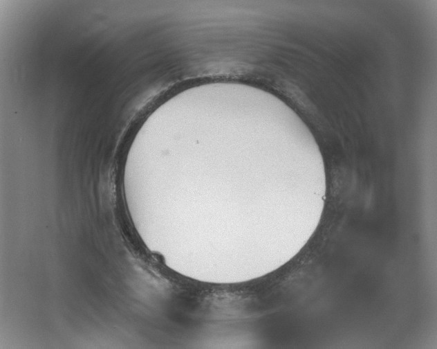 X0000064720632200602101125