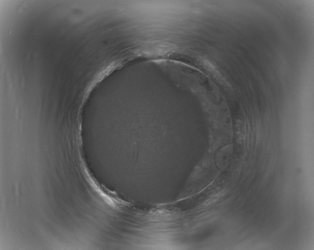 X0000064720634200602101125