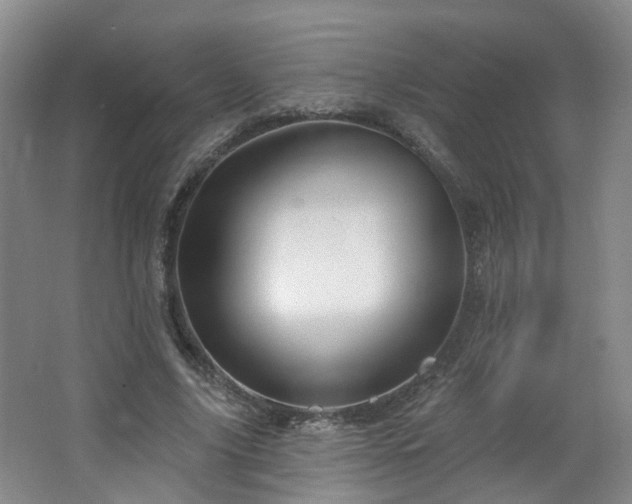 X0000064720635200602101125