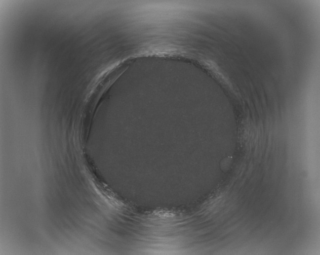 X0000064720640200602101125