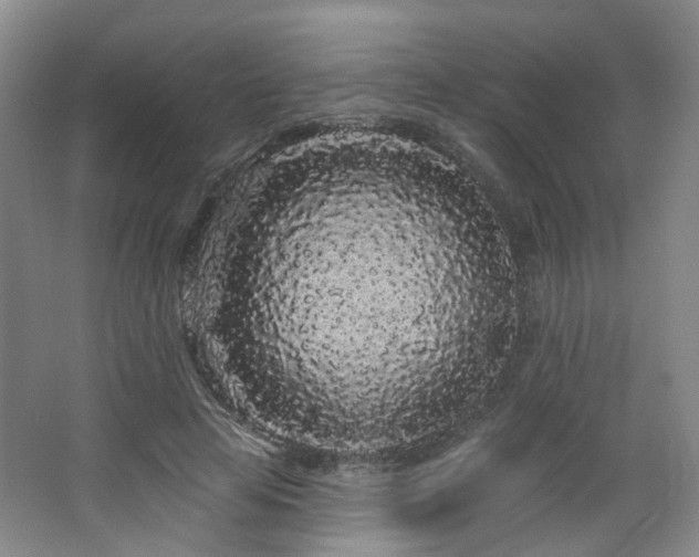 X0000064720641200602101125