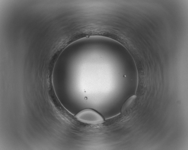 X0000064720642200602101125