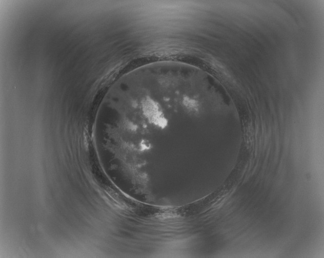 X0000064720644200602101125