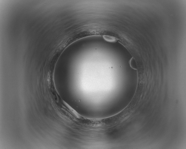 X0000064720646200602101125