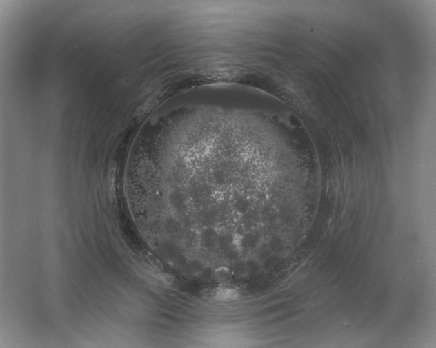 X0000064720647200602101125