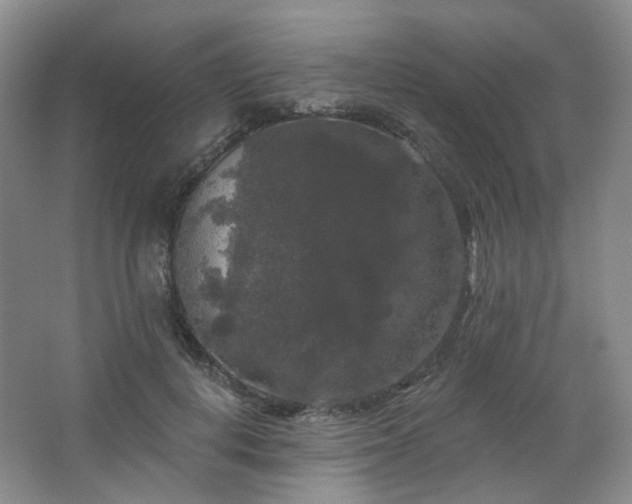 X0000064720648200602101125