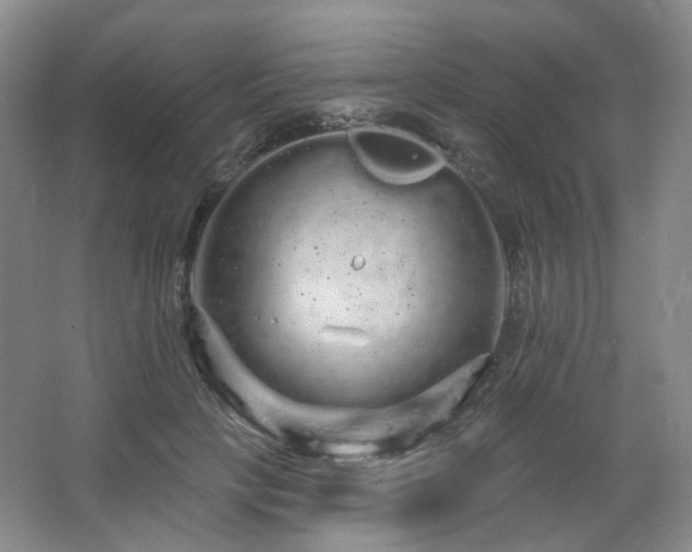 X0000064720649200602101125