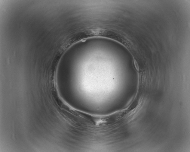 X0000064720651200602101125