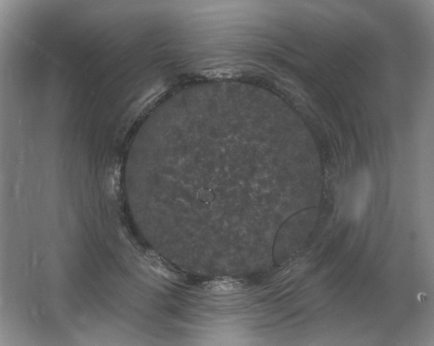 X0000064720652200602101125