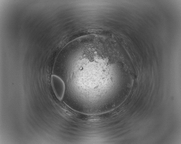 X0000064720653200602101125