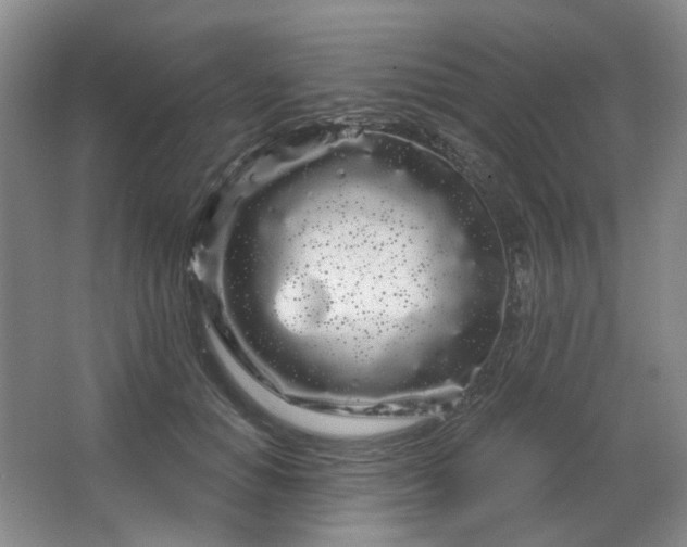 X0000064720654200602101125