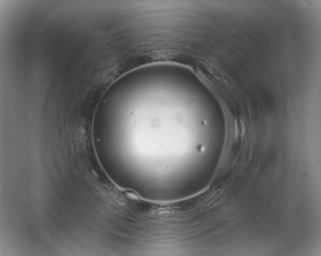 X0000064720655200602101125