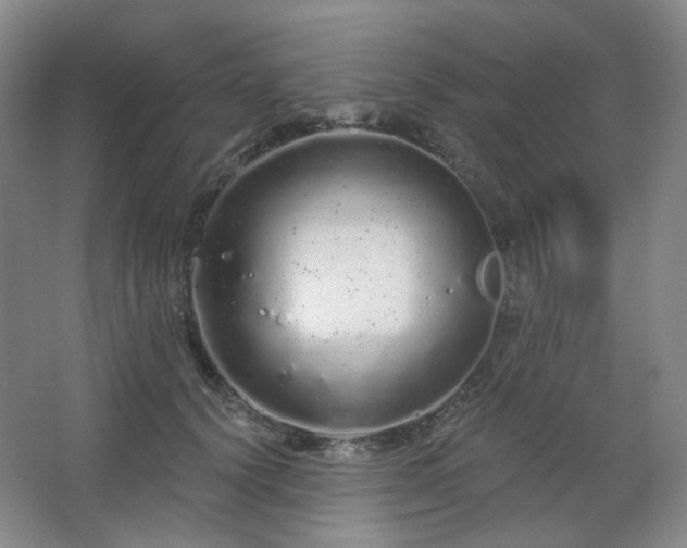 X0000064720656200602101125