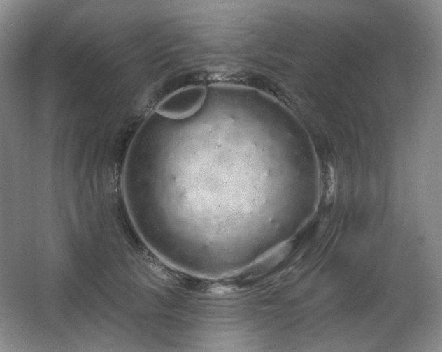 X0000064720657200602101125