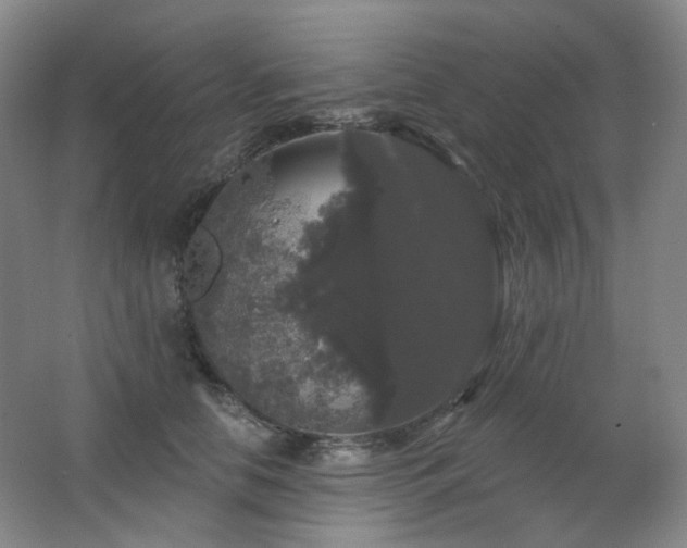 X0000064720658200602101125