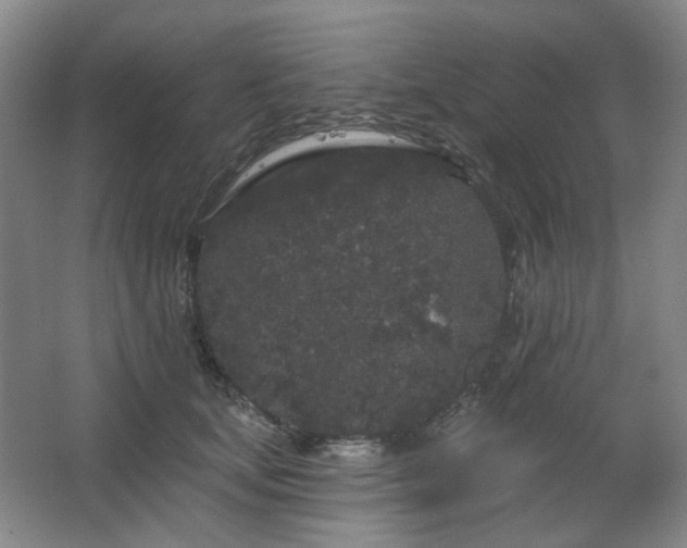 X0000064720659200602101125