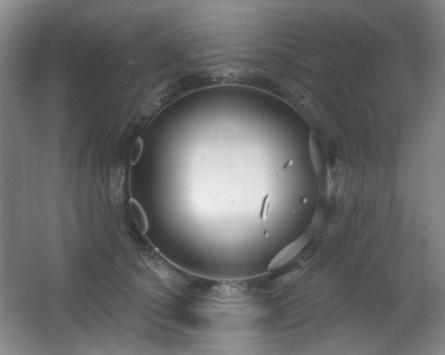 X0000064720660200602101125