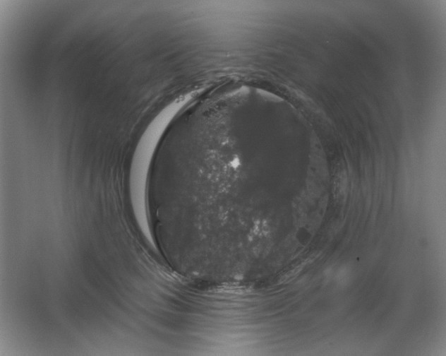 X0000064720661200602101125