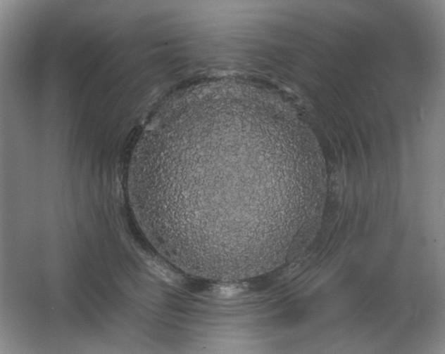 X0000064720662200602101125