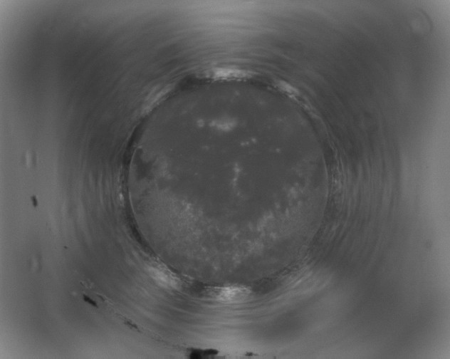 X0000064720663200602101125