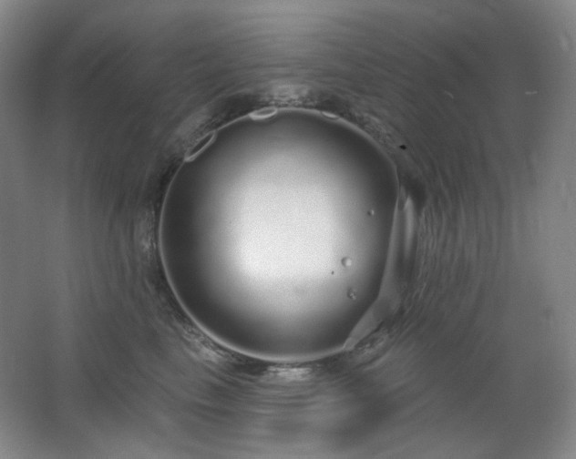 X0000064720665200602101125