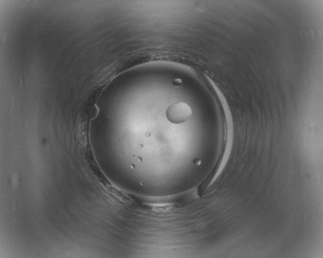 X0000064720666200602101125