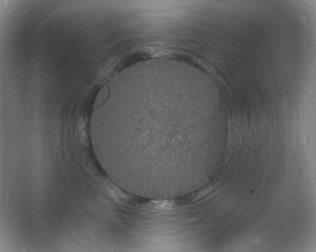 X0000064720667200602101125